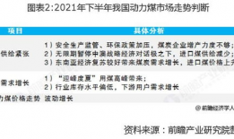 欧洲杯内幕爆料最新消息,独家爆料幕后真相