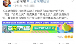 爱你最新皮肤爆料视频,炫酷特效与独特设计大曝光！