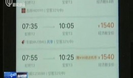 航线最新爆料新闻报道,揭秘神秘航线背后的故事与惊喜
