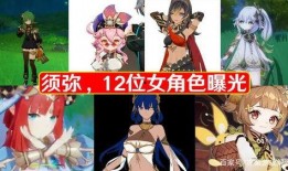 须弥女角色爆料大全最新,揭秘神秘角色背后的故事与魅力