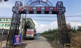 徐水长城最新爆料,揭秘古代军事要塞的神秘面纱