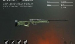 吃鸡最新突击步枪枪爆料