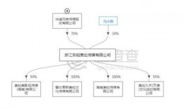 唐德影视最新爆料,揭秘幕后真相，独家揭秘行业内幕